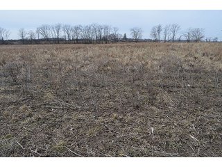 24 Grassland Acres - 20+/- Acres Wooded & 24+/- Acres Grassland, LAND AUCTION